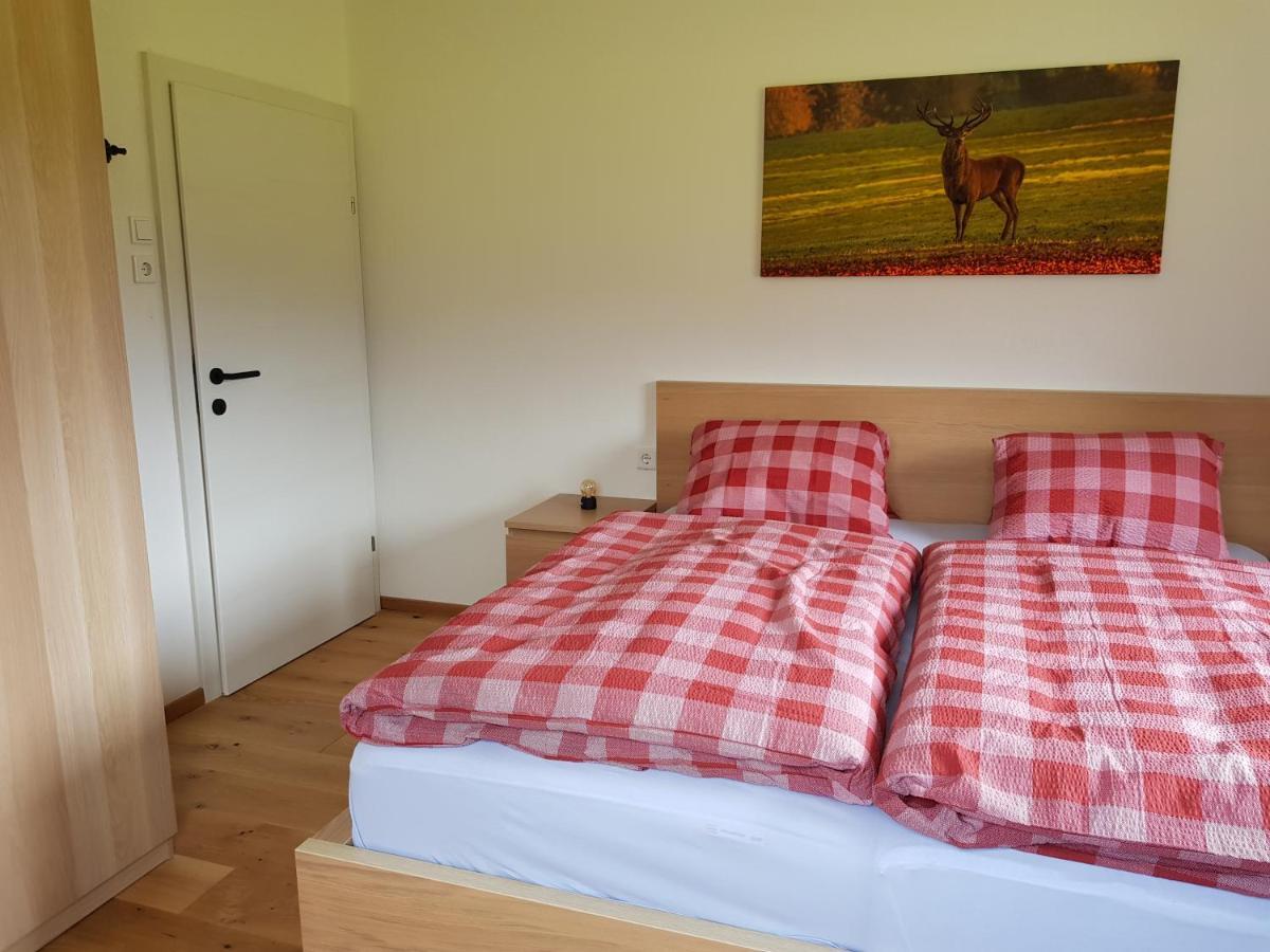 Appartment Luki Haus im Ennstal Ngoại thất bức ảnh